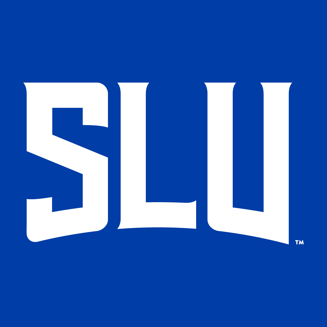 Saint Louis Billikens 2015-Pres Wordmark Logo DIY iron on transfer (heat transfer)